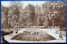 Bucovina - 1931 - Cernauti - Gradina Publica - tip fotografie, animata, circulata la Timisoara, 2 timbre intacte, stampile lizibile, Agentia Hachette