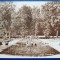 Bucovina - 1931 - Cernauti - Gradina Publica - tip fotografie, animata, circulata la Timisoara, 2 timbre intacte, stampile lizibile, Agentia Hachette
