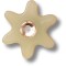 Jibbitz Crocs Tan Flower with Gem