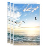 VidaXL Rame foto colaj pentru masă, 3 buc., alb, 10x15 cm, MDF