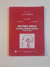 ANATOMIA OMULUI , SISTEMUL NERVOS CENTRAL , LUCRARI PRACTICE de G. LUPU , B. CRISTEA , F. TERTELIU , 2005 foto