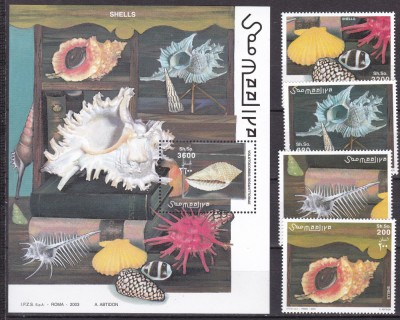 Somalia 2003 fauna marina scoici serie + colita MNH foto
