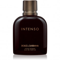 Dolce&Gabbana Pour Homme Intenso Eau de Parfum pentru bărbați 125 ml