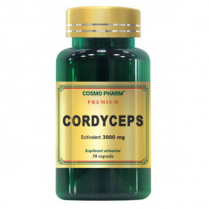 CORDYCEPS 300mg PREMIUM 30cps COSMO PHARM