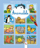 Descopăr lumea. Animalele - Paperback brosat - &Eacute;milie Beaumont, Sylvie Michelet - Litera mică