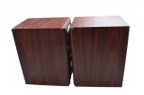 Boxe Pioneer S-F 21