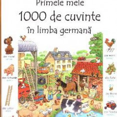 Primele mele 1000 de cuvinte in limba germana