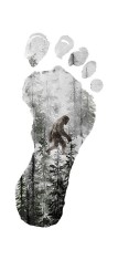 Sticker decorativ Big Foot, Multicolor, 85 cm, 6062ST foto