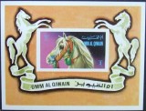 UMM AL QIWAIN.-CAI DE CIRC-1 colita -nedantelate-MNH.**UAQ 126