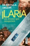 Ilaria sau drumul spre nesupunere - Gabriella Zalapi