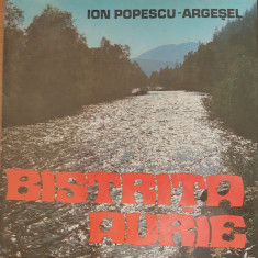 ION POPESCU ARGESEL - BISTRITA AURIE, 1982 ALBUM