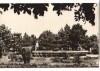 CPIB 16886 CARTE POSTALA - TECUCI. PARCUL &quot;7 NOIEMBRIE&quot;, Necirculata, Fotografie