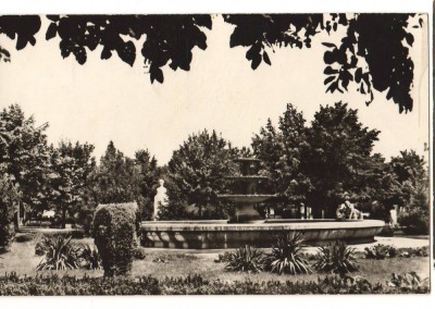 CPIB 16886 CARTE POSTALA - TECUCI. PARCUL &amp;quot;7 NOIEMBRIE&amp;quot; foto