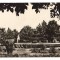 CPIB 16886 CARTE POSTALA - TECUCI. PARCUL &quot;7 NOIEMBRIE&quot;