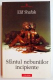 SFANTUL NEBUNIILOR INCIPIENTE de ELIF SHAFAK , 2009