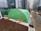 Solar de gradina 5x10 m, 50 mp, teava galvanizata