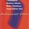 7 Postmoderni: Nedelciu, Craciun, Muller, Petculescu, Gogea, Danilov, Ghiu
