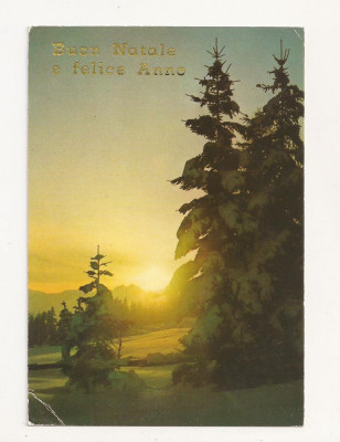IT3-Carte Postala-ITALIA - Buon Natale e felice Anno ,circulata 1989 foto