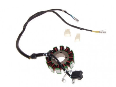 Stator aprindere atv china 250cc,12 bobine, grosime 31mm Cod Produs: MX_NEW ZQA2001 foto