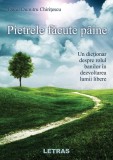 Pietrele făcute p&acirc;ine. Un dicționar despre rolul banilor &icirc;n dezvoltarea lumii libere - Paperback brosat - Dorel Dumitru Chiritescu - Letras