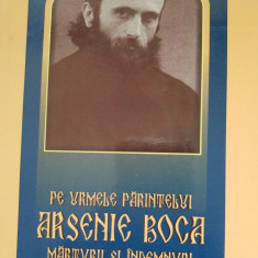 Pe urmele Părintelui Arsenie Boca. Mărturii și îndemnuri