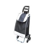 Geanta/carucior de cumparaturi pe roti,&nbsp;PE, PVC, EVA, 30 kg, 35x30x96&nbsp;cm,&nbsp;Alfred, Strend Pro