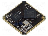 Cititor RFID NETRONIX 3,3V cu interfețe RS232 TTL, RS485, SPI, WIEGAND, 1-wire, 13,56MHz