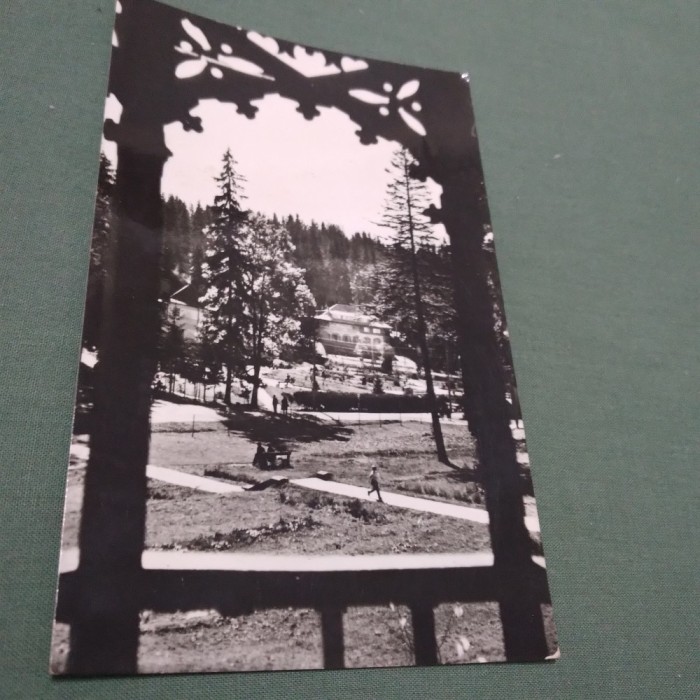 CARTE POSTALA -VEDERE DIN BORSEC CIRCULATA