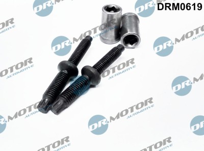 Surub, Suport Injector 298181 DRM0619 foto