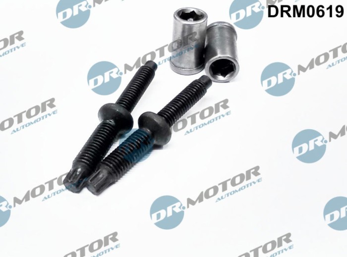 Surub, Suport Injector 298181 DRM0619