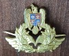 QW14 - Emblema militara / cuc - aviatie - piesa de colectie