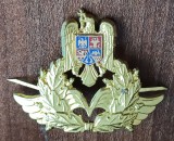 QW14 - Emblema militara / cuc - aviatie - piesa de colectie