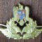 QW14 - Emblema militara / cuc - aviatie - piesa de colectie