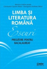 Limba si literatura romana. Eseuri. Pregatire pentru bacalaureat - Monica Cristina Anisie - Corint