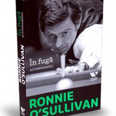 In fuga. Autobiografia - Ronnie O Sullivan