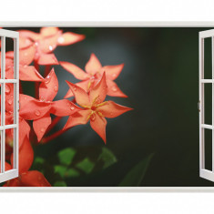 Autocolant decorativ, Fereastra, Arbori si flori, Multicolor, 83 cm, 588ST