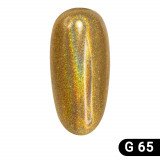 Cumpara ieftin Pigment Unghii, Holographic Gold G65