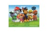 Puzzle 3D Paw Patrol, in cutie de tabla, 24 piese, Altele, Multicolor