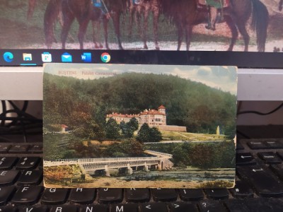 Bușteni, Palatul Cantacuzino, circa 1910, 205 foto