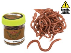 Rame (earthworms) foto