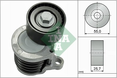 INA 534 0591 10 Intinzator curea, curea distributie foto