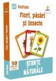 Cumpara ieftin Flori pasari si insecte