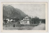 Poiana Tapului - Poiana Tapului