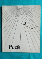 Fanus Neagu &ndash; Florin Puca (grafica album de arta )