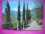 HOPCT 20033 TAOOEINER MERANO -ELVETIA -CIRCULATA
