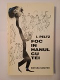 I. Peltz - Foc &icirc;n Hanul cu tei (Hasefer, 1995; ilustrații: Tia Peltz)