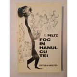I. Peltz - Foc &icirc;n Hanul cu tei (Hasefer, 1995; ilustrații: Tia Peltz)
