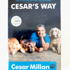 DD- Cesar's Way - Cesar Milan - dresaj canin, educatie caini - in engleza