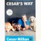 DD- Cesar&#039;s Way - Cesar Milan - dresaj canin, educatie caini - in engleza