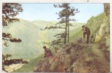 bnk cp Baile Herculane - Valea Cernei - necirculata